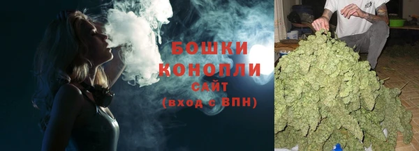 дурь Инсар