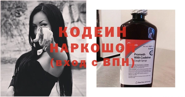 шишки Иннополис