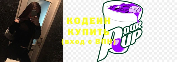 шишки Иннополис