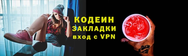 дурь Инсар