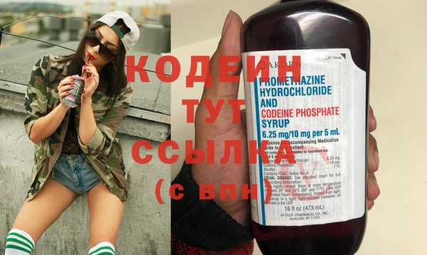 дурь Инсар