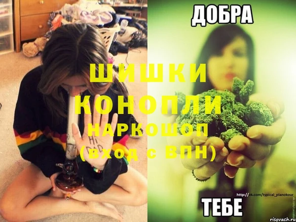 дурь Инсар
