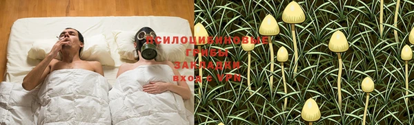 дурь Инсар