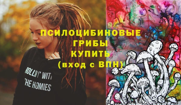 шишки Иннополис