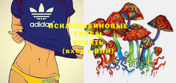 шишки Иннополис