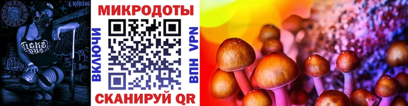 Купить  Острогожск  Галлюциногенные грибы GOLDEN TEACHER 